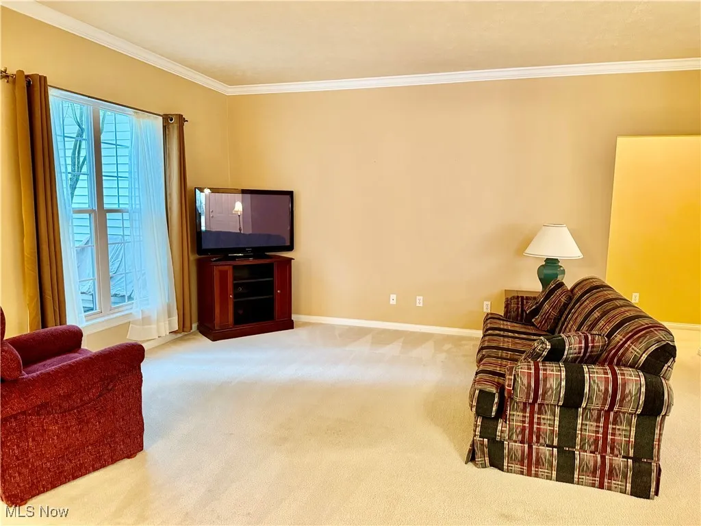 Carpeted living area with ornamental molding and baseboards