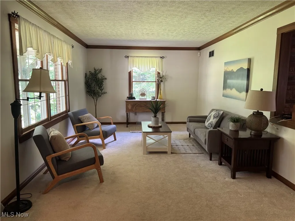 Carpeted living area featuring ornamental molding and a textured ceiling