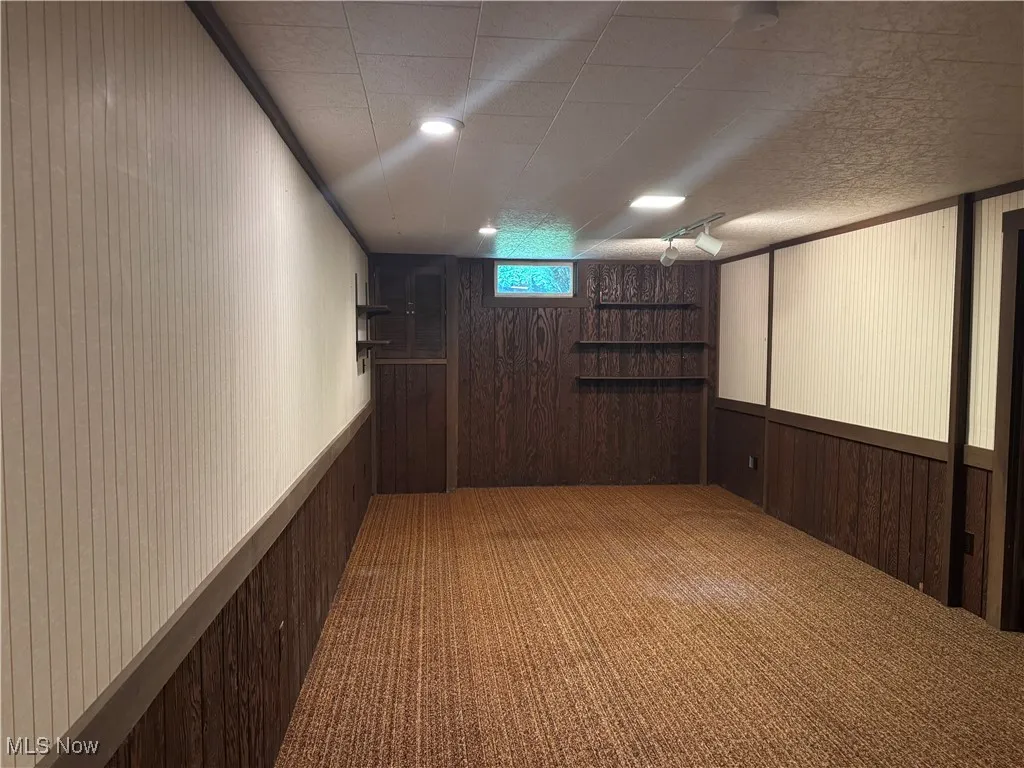 Basement featuring carpet and wooden walls