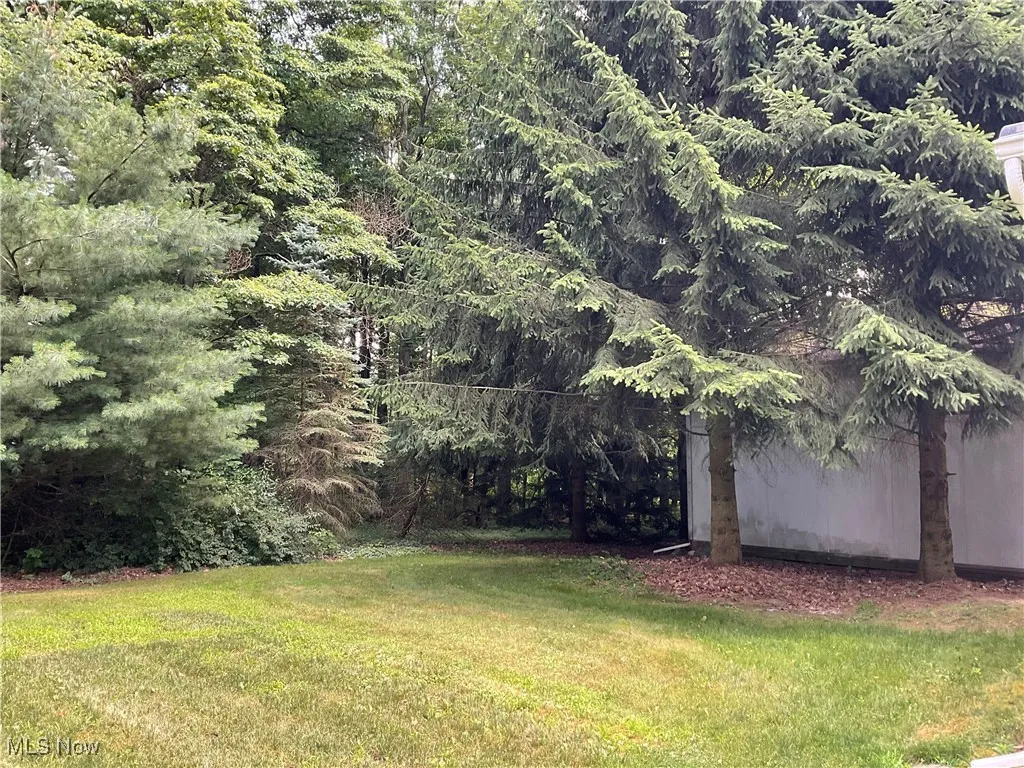 View of grassy yard featuring a wooded view