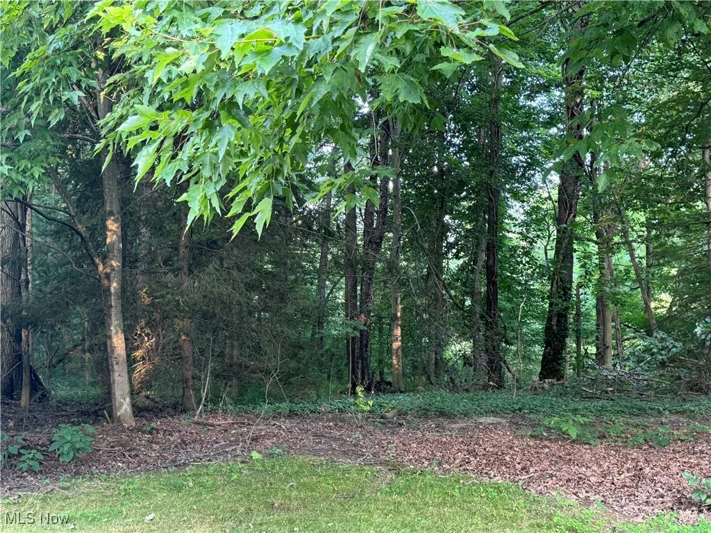 View of yard featuring a view of trees