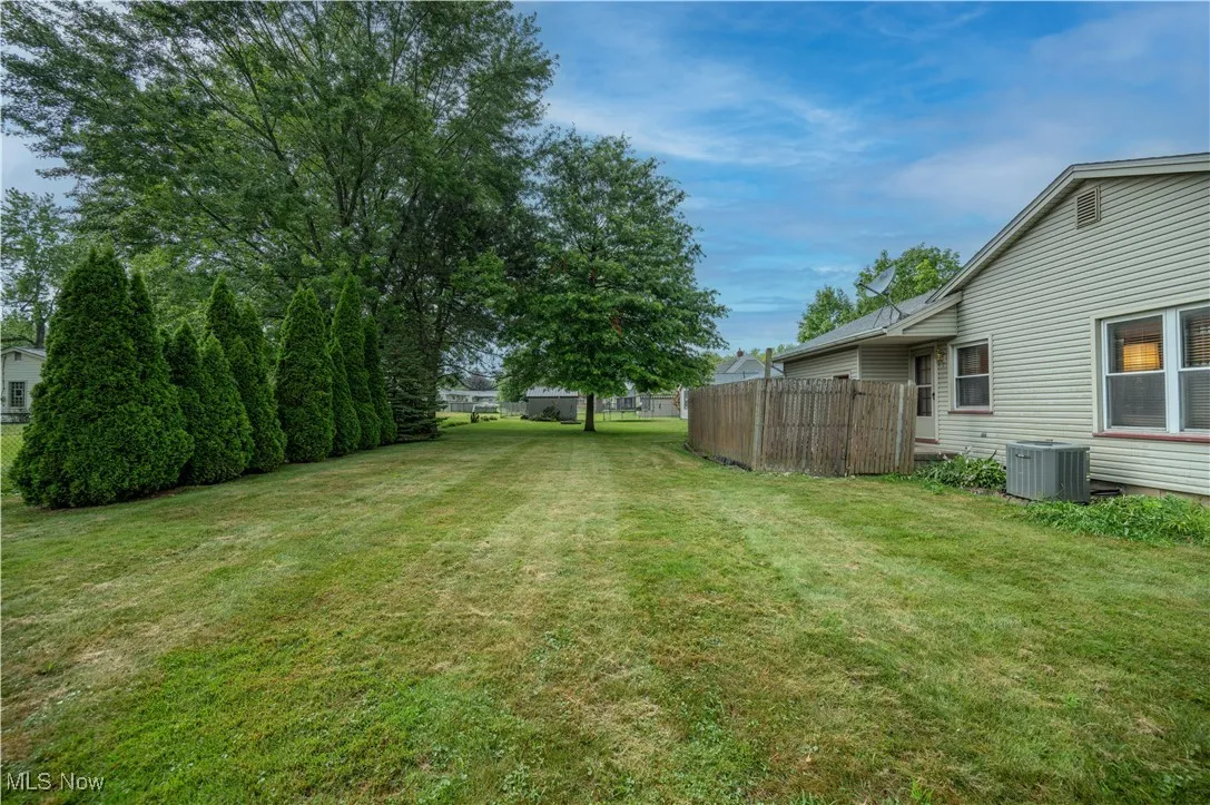 View of backyard