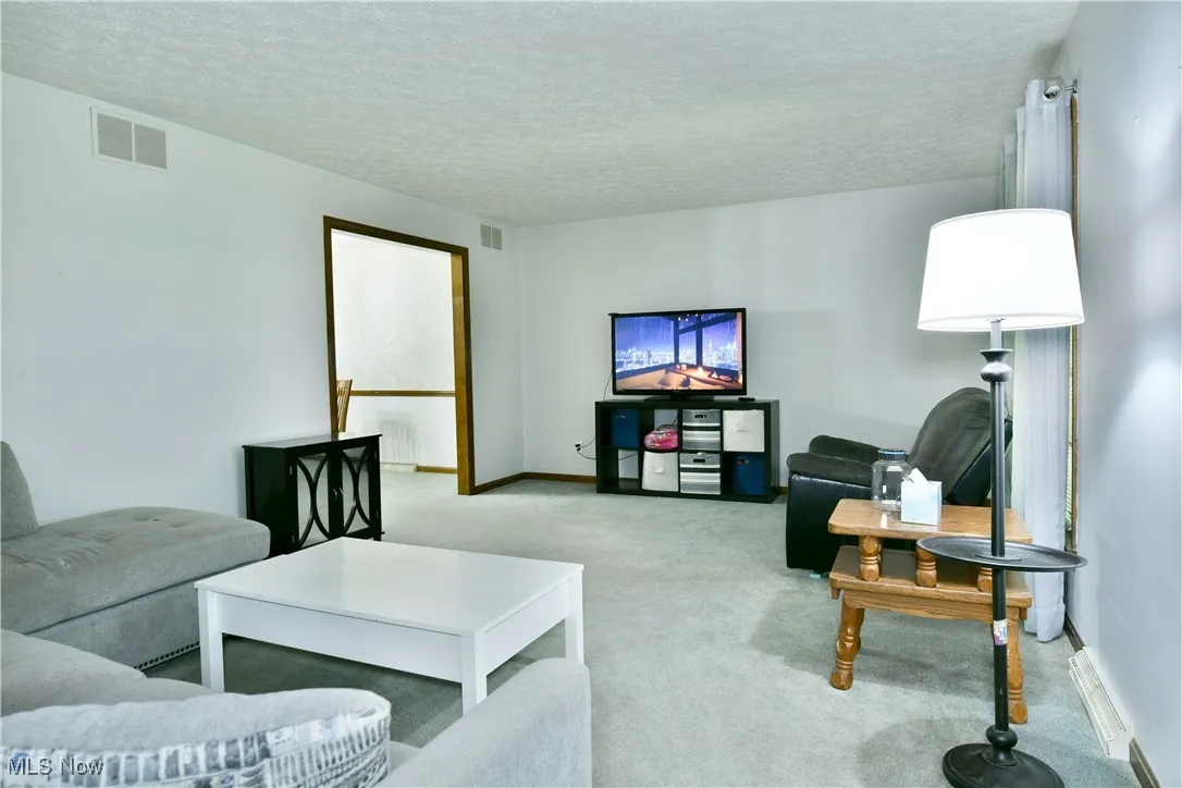 Living room with light colored carpet, a textured ceiling, and radiator