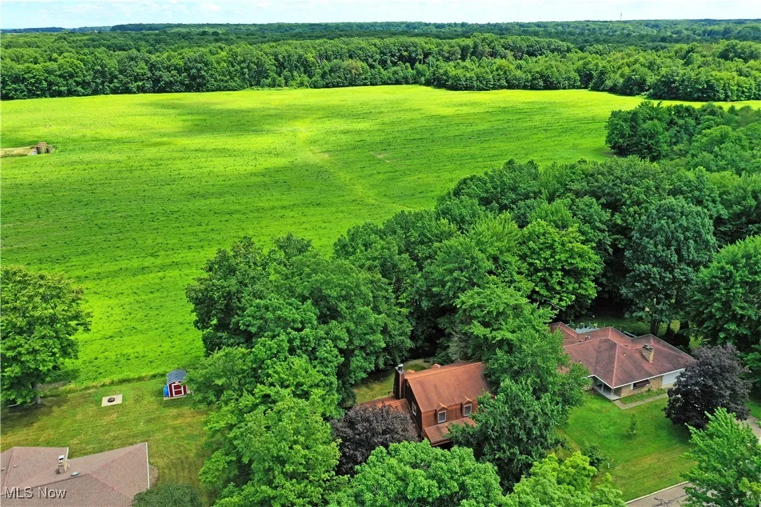 Bird's eye view of a field