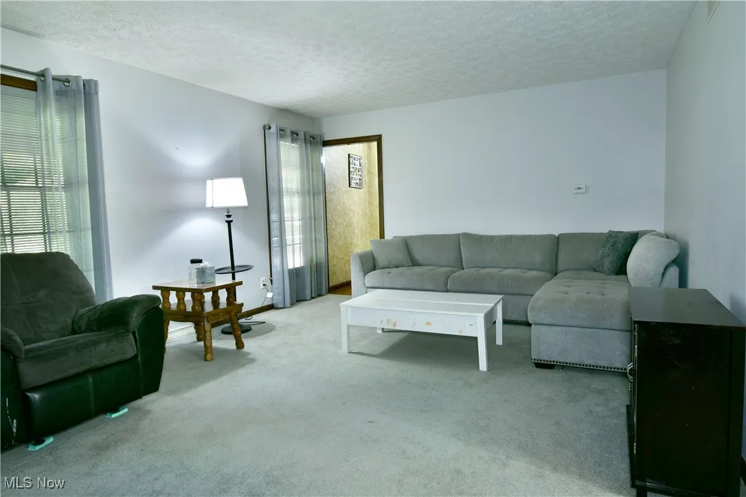 Living room featuring light colored carpet and a textured ceiling