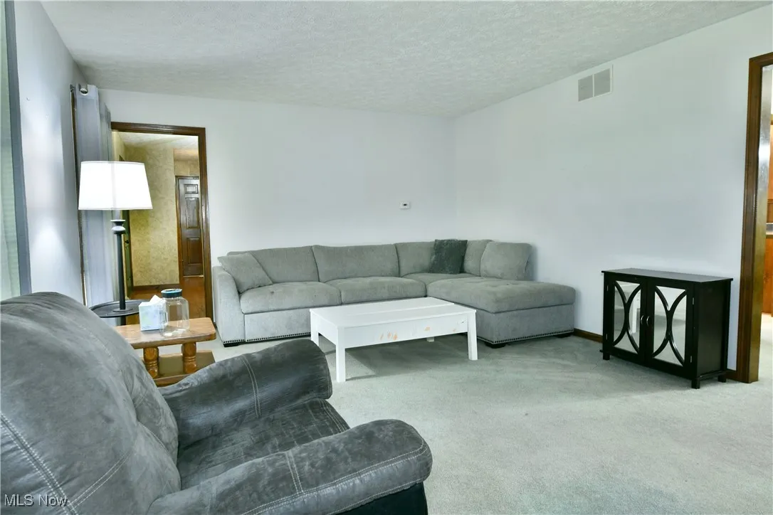 Living room featuring carpet floors and a textured ceiling
