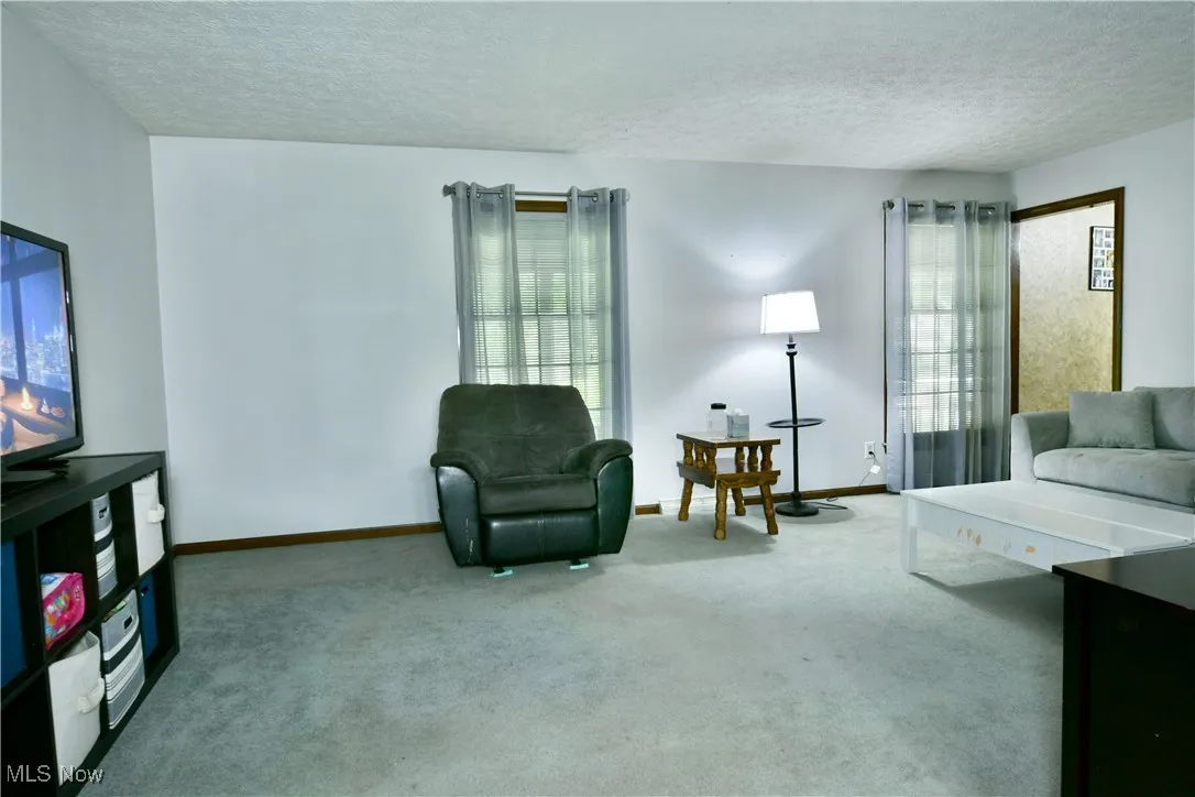 Carpeted living room featuring a textured ceiling and baseboards
