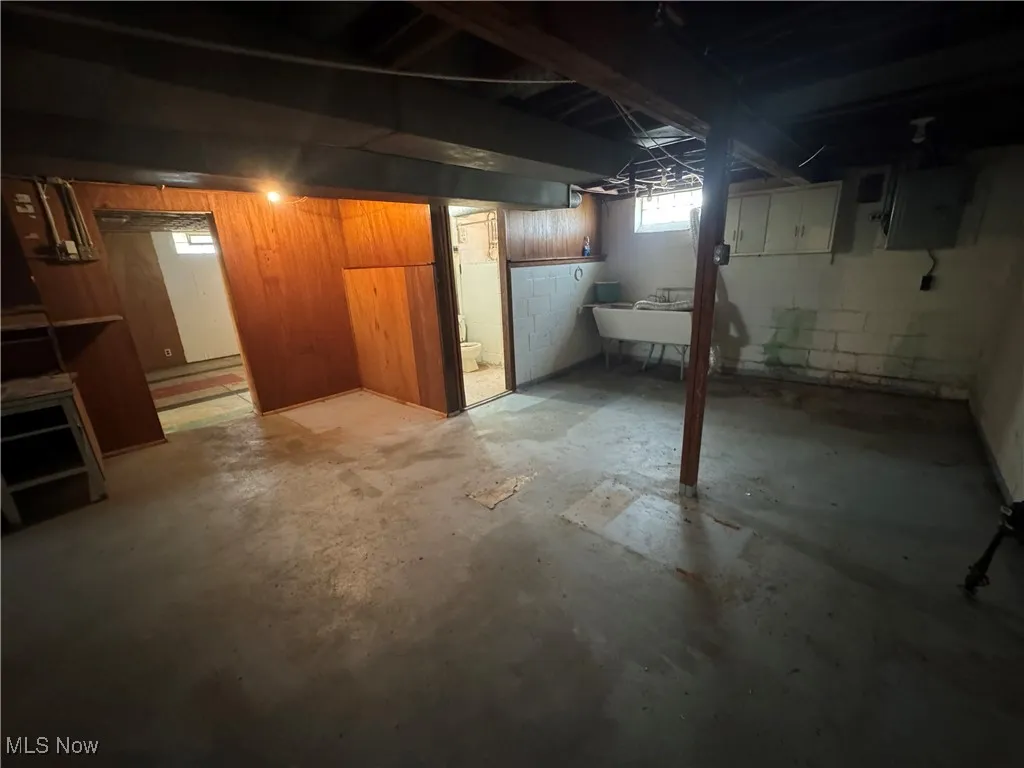 Basement with electric panel and a sink
