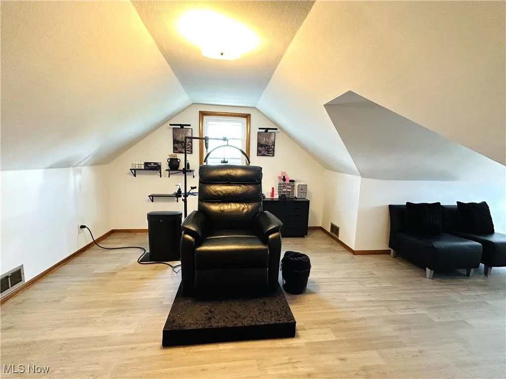 Bonus room with lofted ceiling