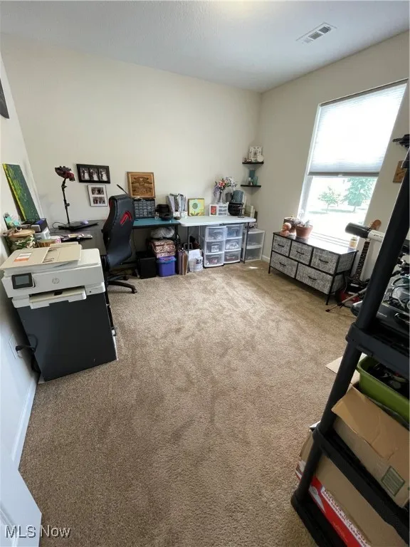 Home office featuring carpet floors