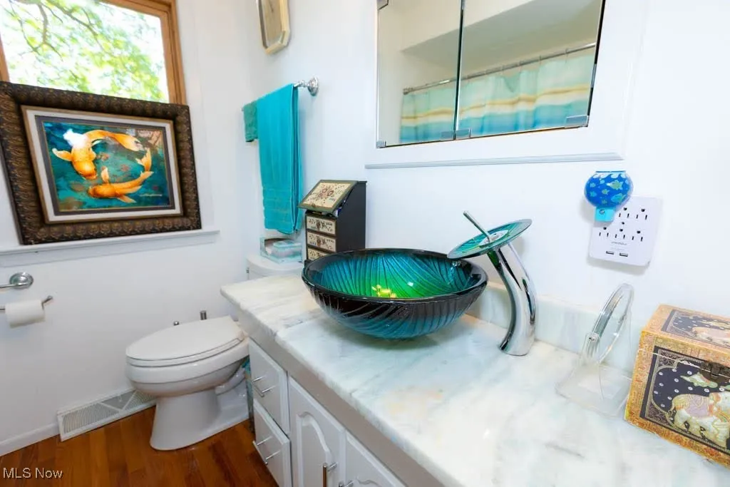 Bathroom featuring wood finished floors, vanity, and a shower with shower curtain