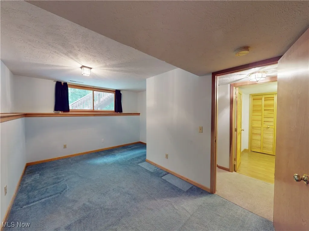 Lower level bedroom