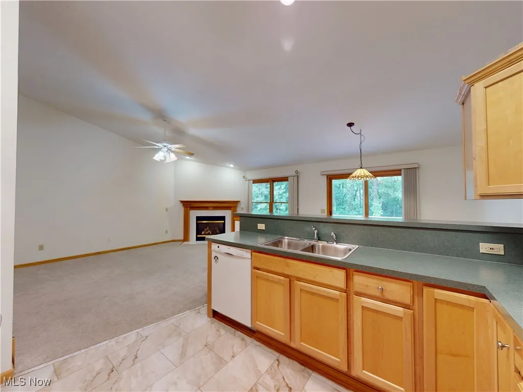 9051 Arden Drive, Mentor, Ohio 44060,MLS Now Listing ID