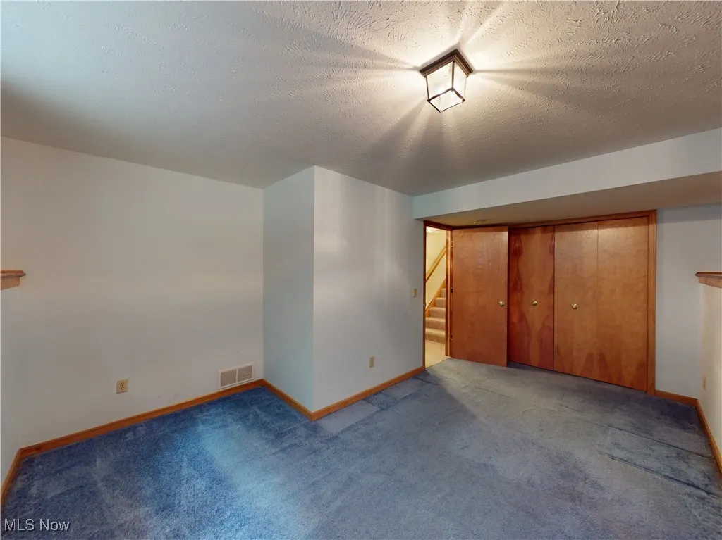 Lower level bedroom