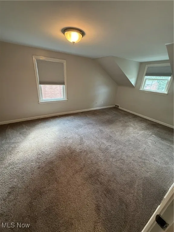 Bonus room with healthy amount of natural light, lofted ceiling, and carpet floors