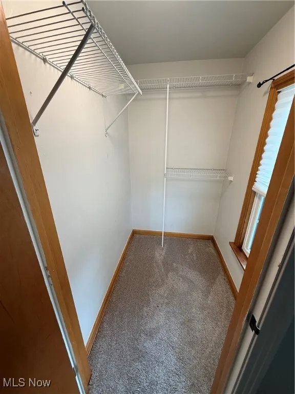 Walk in closet featuring carpet floors