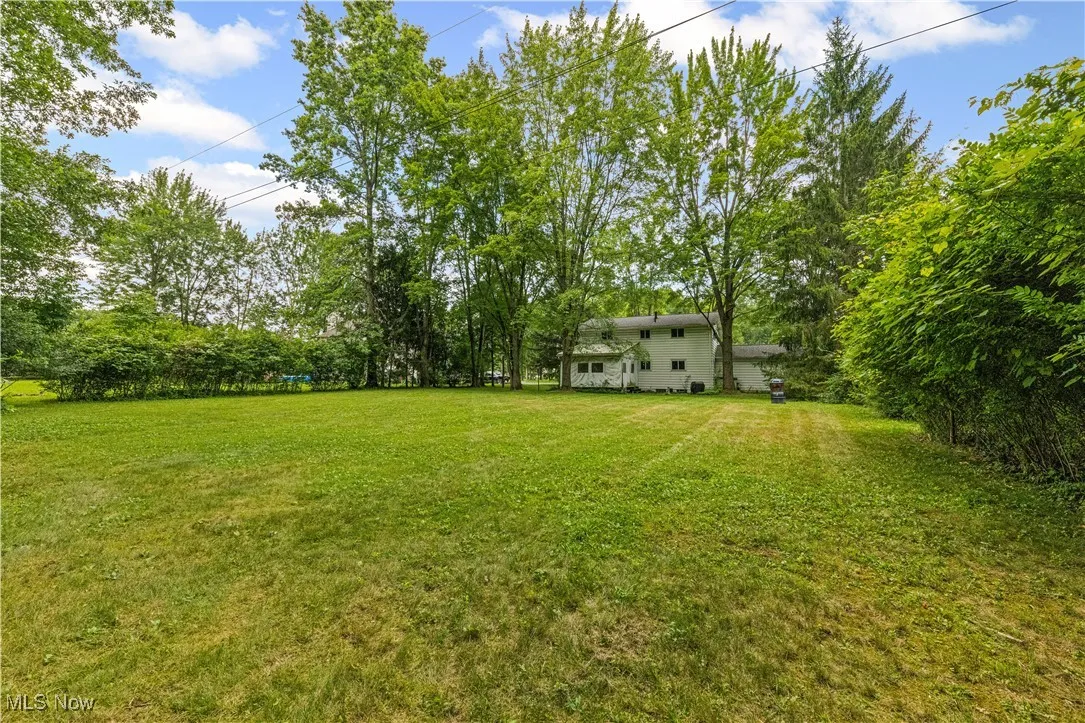 View of grassy yard