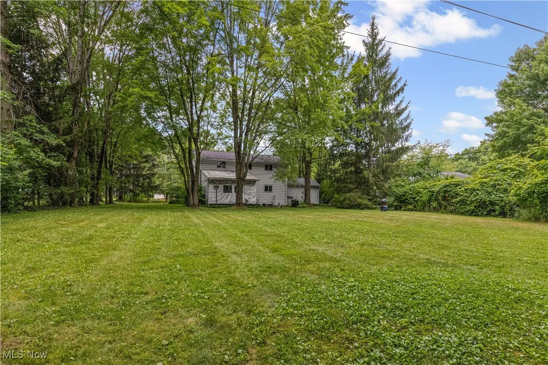 View of green lawn