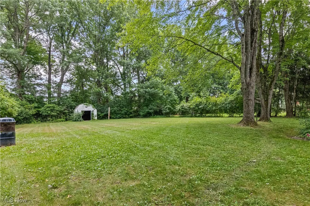 View of green lawn with a shed