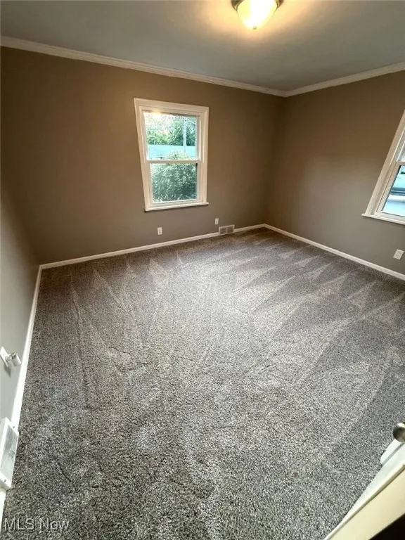 Unfurnished room with ornamental molding and carpet flooring