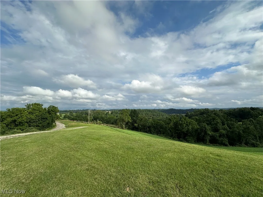View of green lawn with a view of trees