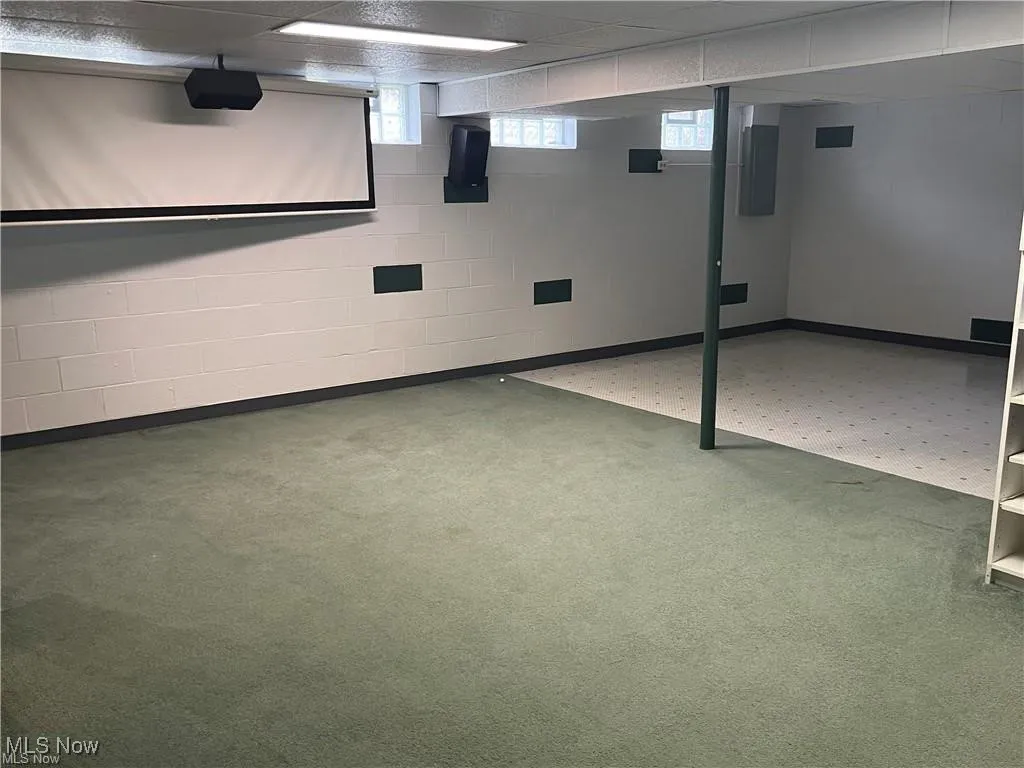 Basement featuring concrete block wall and electric panel