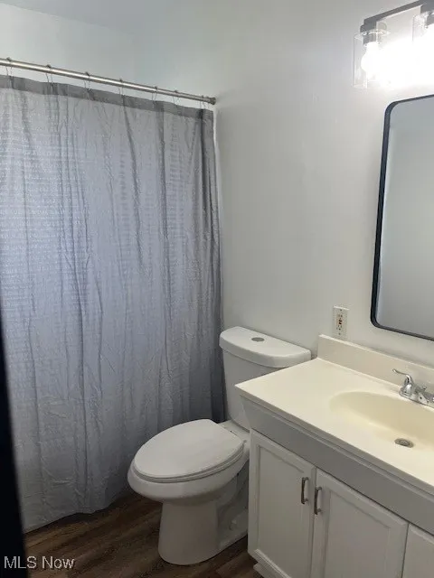 Full bathroom with vanity, wood finished floors, and a shower with curtain