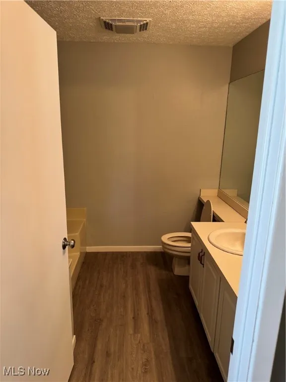 Bathroom featuring a textured ceiling, wood finished floors, and vanity