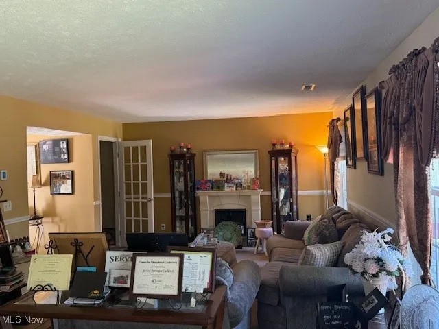 Living room featuring a fireplace