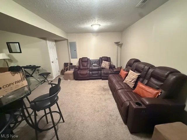 Living room featuring carpet flooring, a textured ceiling, and electric panel