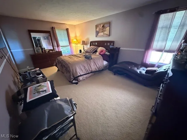 Carpeted bedroom featuring multiple windows