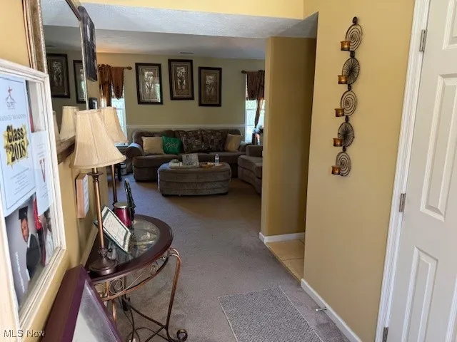 View of carpeted living area