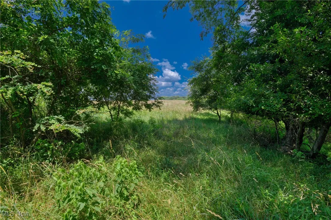 47628 Carmel Achor Road, Rogers, Ohio,MLS Now Listing ID