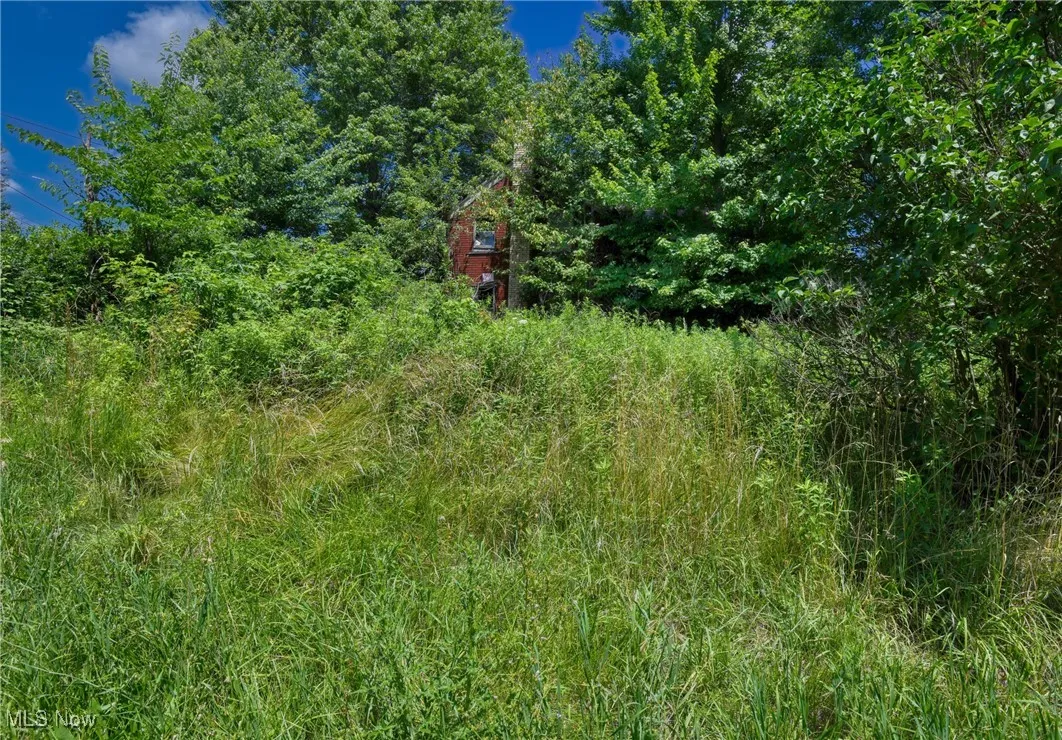 47628 Carmel Achor Road, Rogers, Ohio,MLS Now Listing ID
