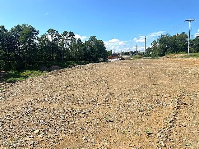 View of CLEARED AREA