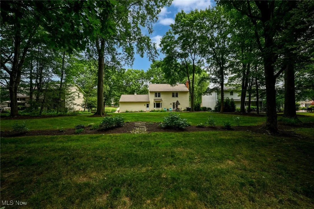 Park-like Backyard