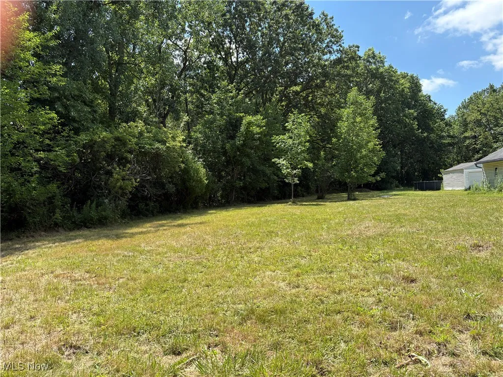 View of .54 acre lot