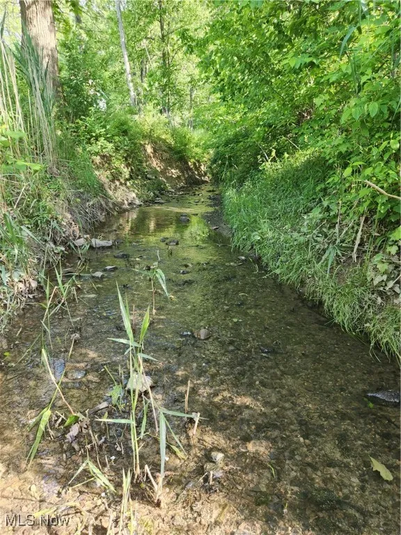 Stream
