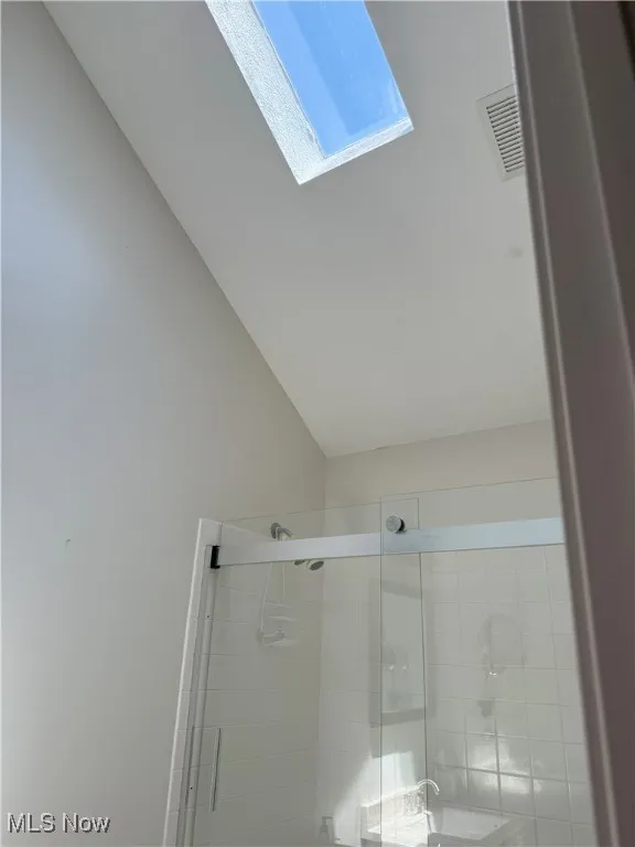 Bathroom Skylight