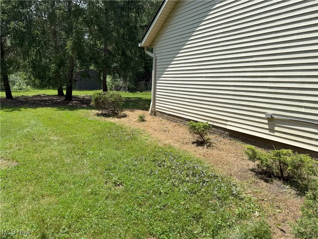 Side Yard View