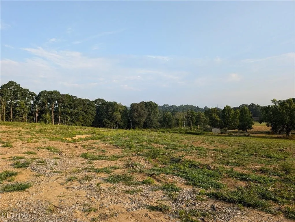 View of woods with a view of rural / pastoral area