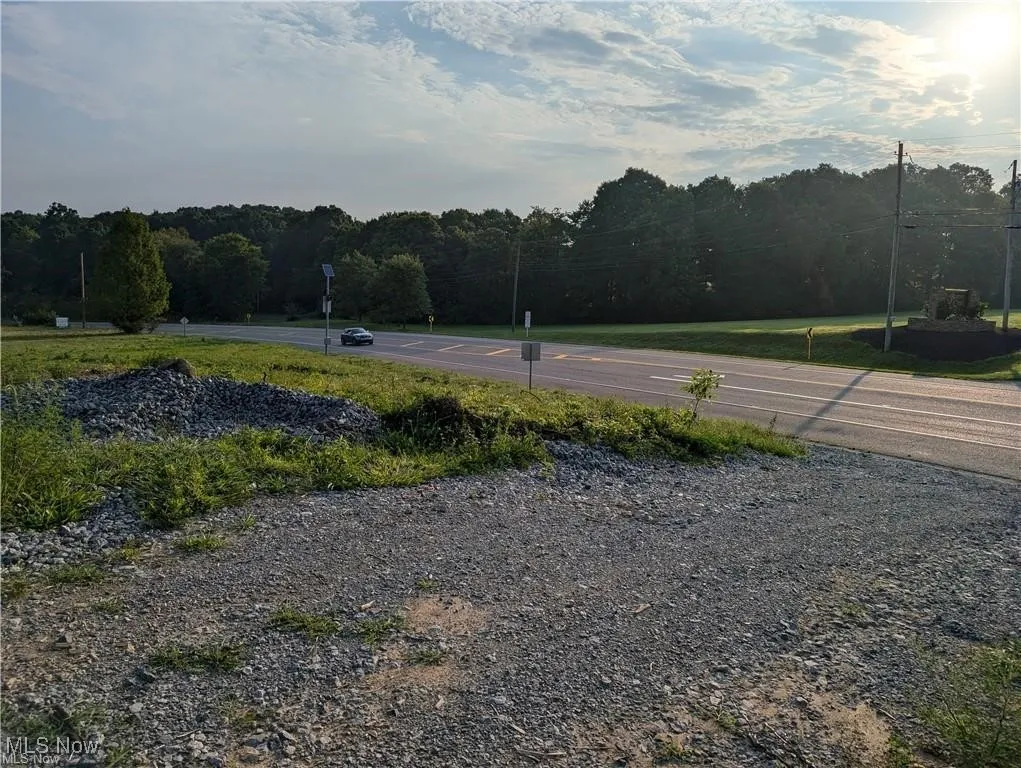 View of asphalt street with a forest view