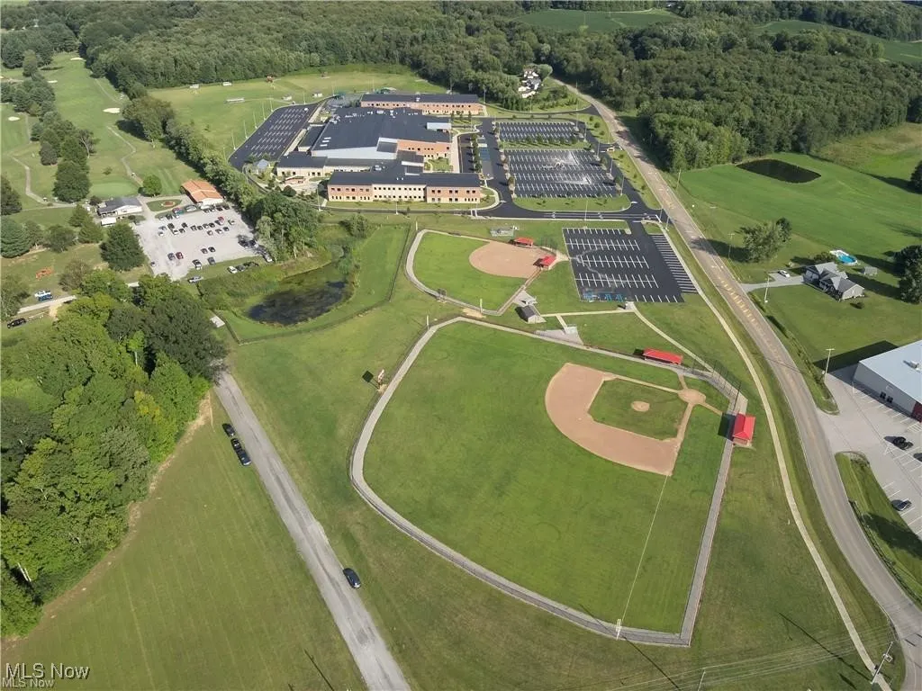 Aerial view of a forest