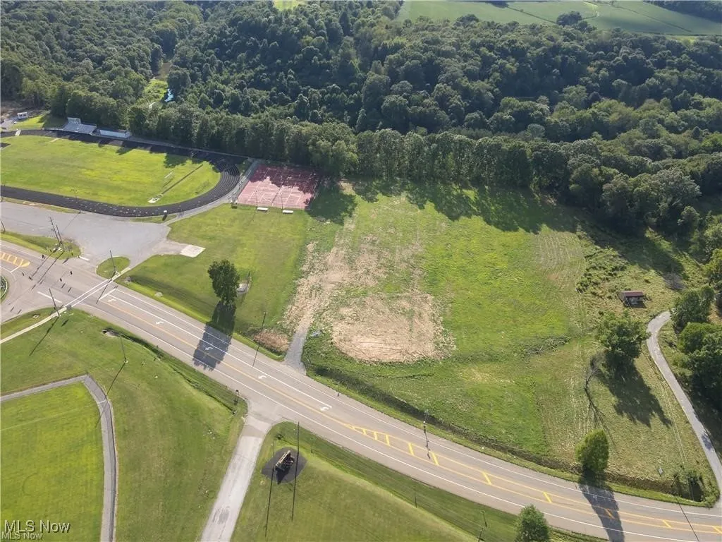 Bird's eye view of a forest
