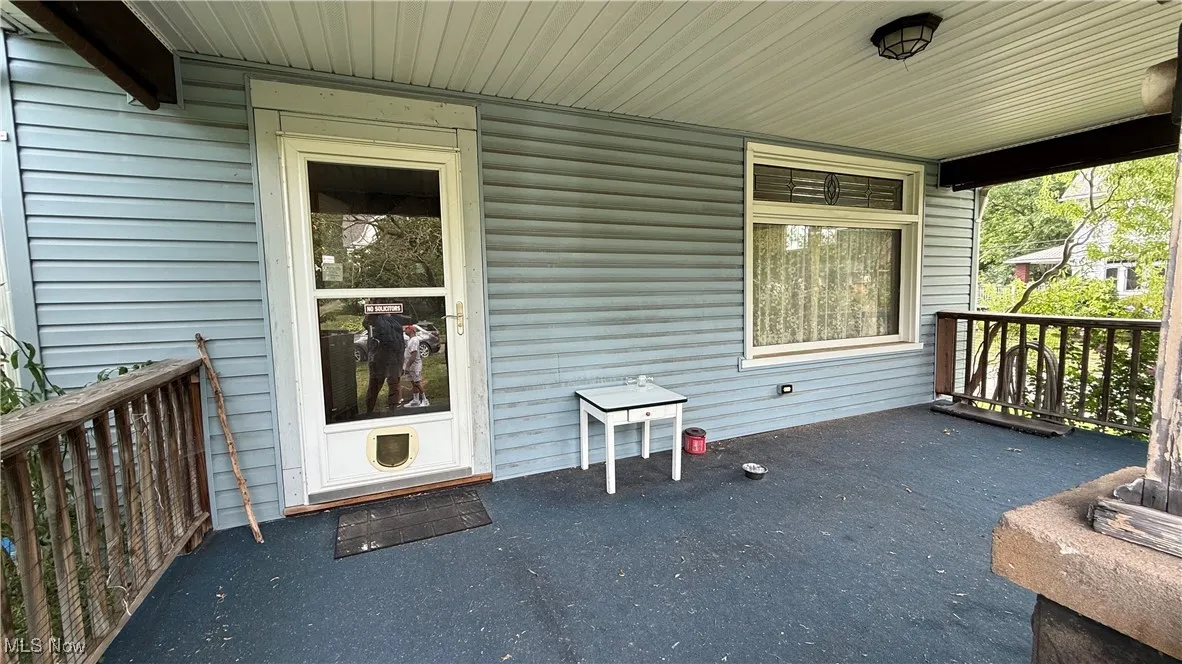 Front porch with dog door