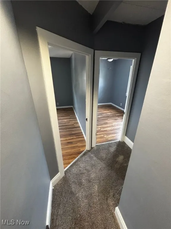 Corridor featuring carpet floors and wood finished floors