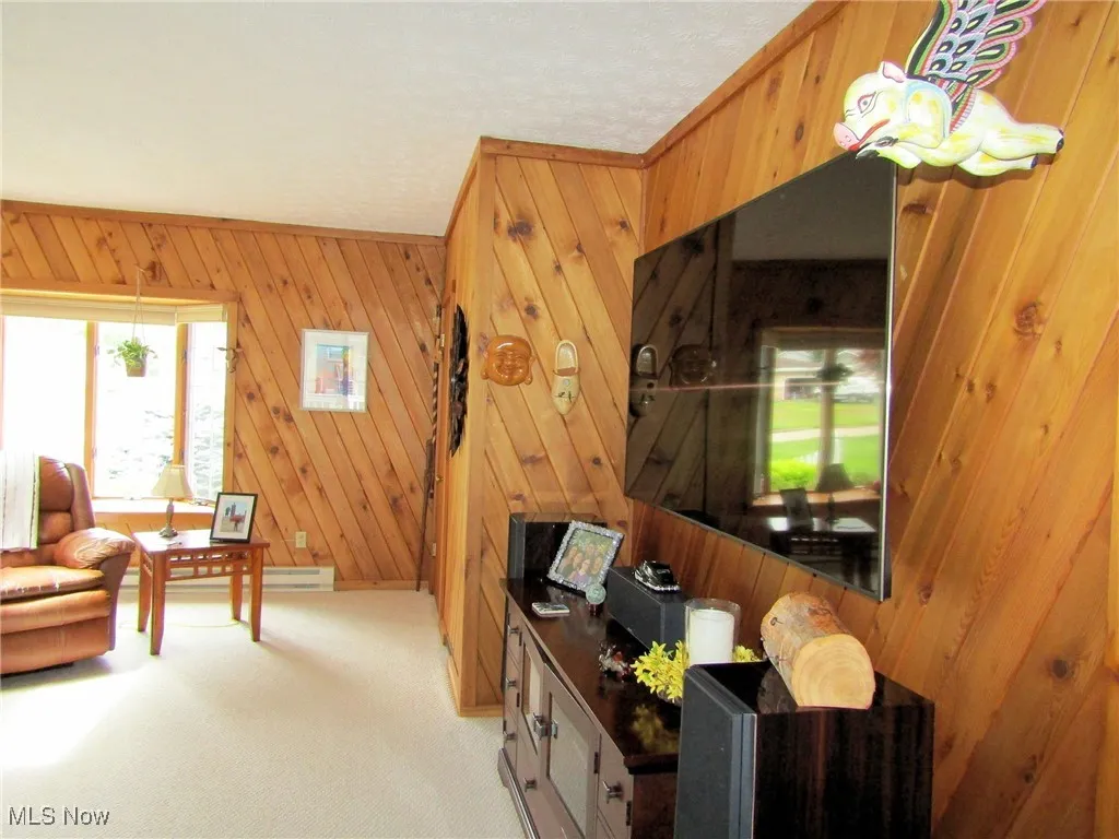 Living area featuring light carpet and wooden walls