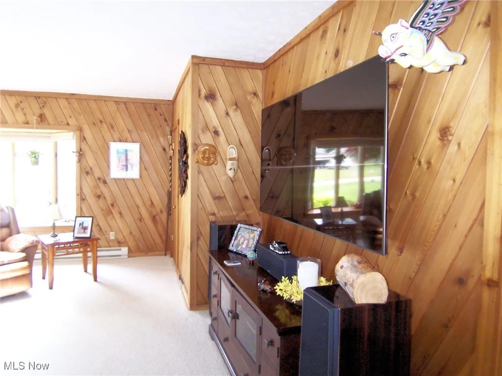 Living area with light carpet, wood walls, and healthy amount of natural light