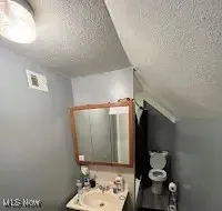 Bathroom with a textured ceiling, vanity, and vaulted ceiling
