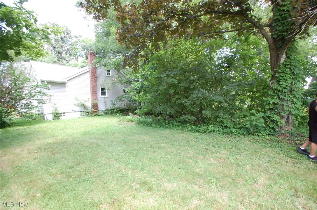 View of green lawn